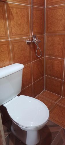 a bathroom with a toilet and a shower at Cabaña Ermelinda in San Carlos de Bariloche
