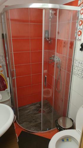 una cabina de ducha en un baño con inodoro en TANA, en Rača