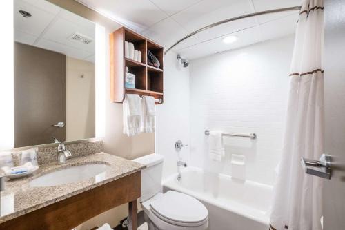 a bathroom with a sink and a toilet and a shower at Radisson Hotel St Paul Downtown in Saint Paul