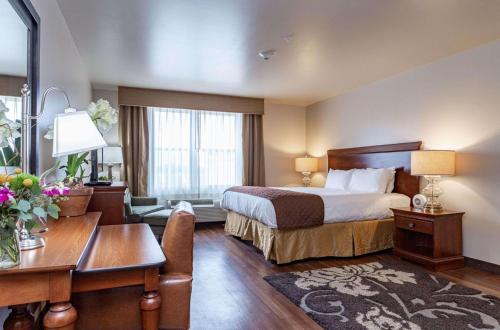 um quarto de hotel com uma cama e uma secretária em Jefferson Street Inn, a member of Radisson Individuals em Wausau