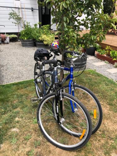a bike parked next to a tree in the grass at Petite on Regent in Martinborough 
