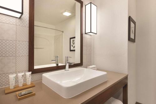 a bathroom with a white sink and a mirror at Country Inn & Suites by Radisson, Tampa Airport East-RJ Stadium in Tampa