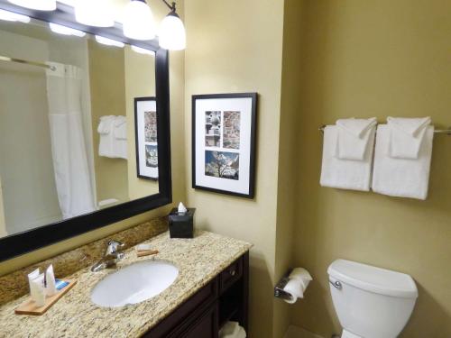 a bathroom with a sink and a toilet and a mirror at Country Inn & Suites by Radisson, Port Orange-Daytona, FL in Port Orange