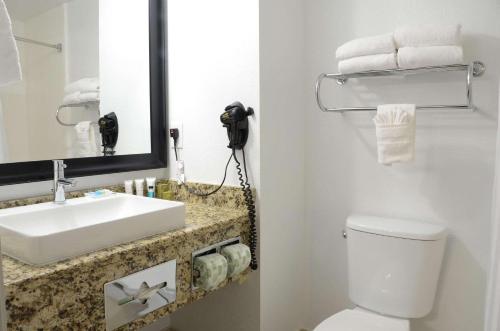 a bathroom with a sink and a toilet and a mirror at Country Inn & Suites by Radisson, Buford at Mall of Georgia, GA in Buford