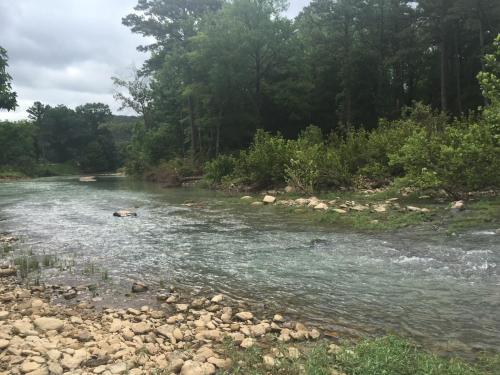 a river with rocks and trees in the background at Toms Branch Campground 