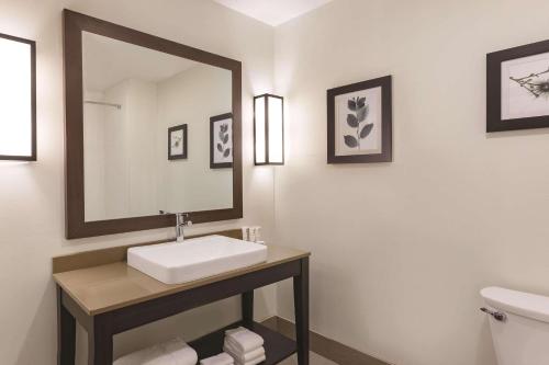 La salle de bains est pourvue d'un lavabo et d'un miroir. dans l'établissement Country Inn & Suites by Radisson, Macon West, GA, à Macon