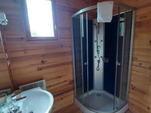 a bathroom with a shower and a sink at Chalet au calme avec terrasse, acceptant les animaux, parking et Wi-Fi inclus - FR-1-584-108 in Velle-sur-Moselle