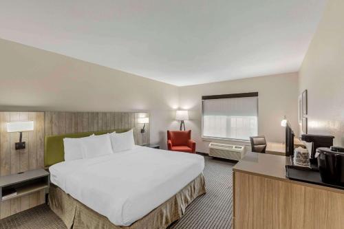 um quarto de hotel com uma cama grande e uma cadeira em Country Inn & Suites by Radisson, Elk Grove Village-Itasca em Elk Grove Village