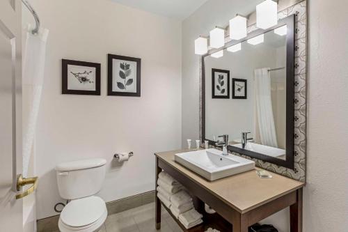 a bathroom with a toilet and a sink and a mirror at Country Inn & Suites by Radisson, Elk Grove Village-Itasca in Elk Grove Village
