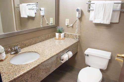 a bathroom with a toilet and a sink and a mirror at Country Inn & Suites by Radisson, Garden City, KS in Garden City