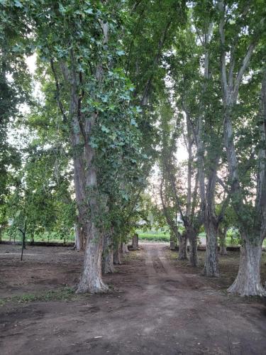 Camping Posada los Platanos – Photos 5