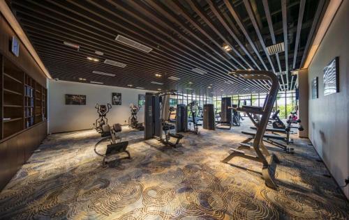 a gym with treadmills and elliptical machines at Xtu Golf Villa Forest City二房独栋别墅 in Gelang Patah