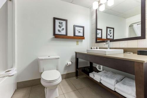 a bathroom with a white toilet and a sink at Country Inn & Suites by Radisson, Lumberton, NC in Lumberton