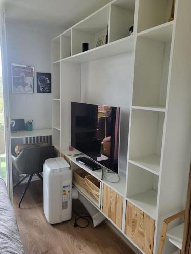 Cette chambre comprend une chambre avec une télévision et un bureau. dans l'établissement Tropicale chic, à La Mulatière