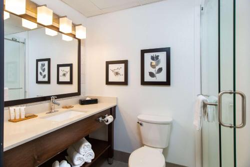 a bathroom with a sink and a toilet and a mirror at Country Inn & Suites by Radisson, Rapid City, SD in Rapid City