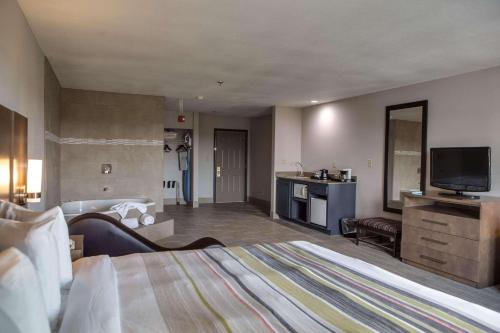 ハーリンジェンにあるCountry Inn & Suites by Radisson, Harlingen, TXの大型ベッドとテレビが備わるホテルルームです。