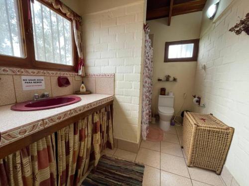 普庫薩納區的住宿－Casa de campo Villa Siles，一间带水槽和卫生间的浴室
