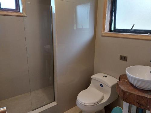 a bathroom with a shower and a toilet and a sink at Casa Cerro Divisadero in Coihaique
