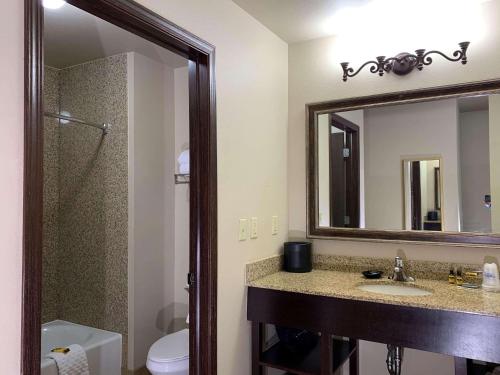 La salle de bains est pourvue d'un lavabo, d'un miroir et de toilettes. dans l'établissement Radisson Hotel River Falls, à River Falls