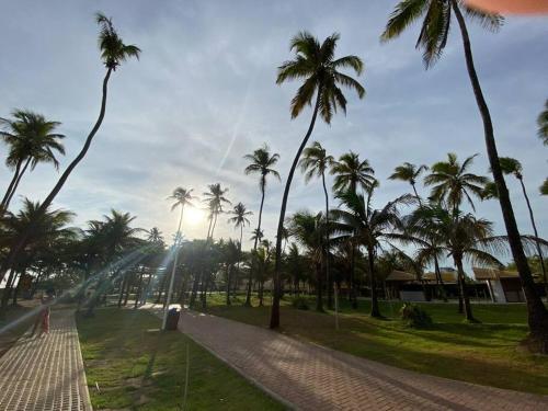 a row of palm trees in a park with a sidewalk at Casa em Praia do Flamengo - Salvador in Salvador