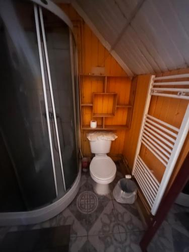 a small bathroom with a toilet and a shower at Cabañas 644 in Porvenir
