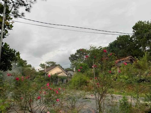 Giardino di Family house - stay on pine hill Dalat