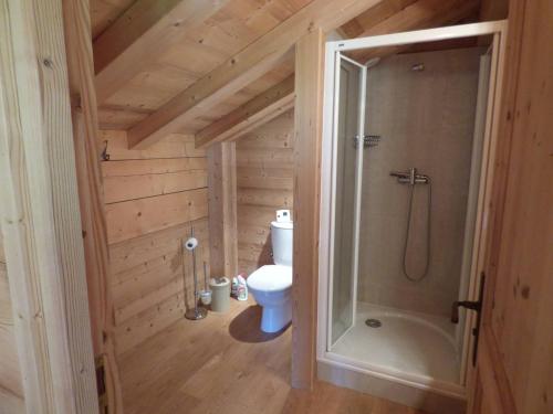 a small bathroom with a toilet and a shower at Chalet Le Grand-Bornand, 7 pièces, 10 personnes - FR-1-458-193 in Le Grand-Bornand