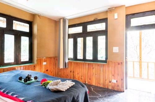 Blue sky home jibhi – Photos 3