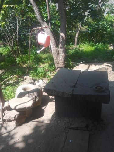 a bird sitting next to a picnic table in a park at Мргануш in Meghri