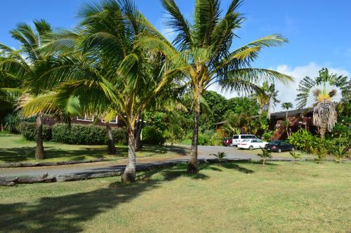 a group of palm trees in a park at God's Peace of Maui in Makawao