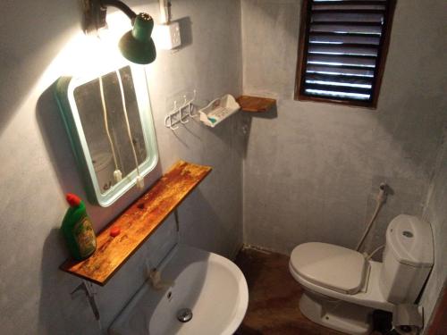 a bathroom with a toilet and a sink and a mirror at Villa Samudra Hikkaduwa in Hikkaduwa