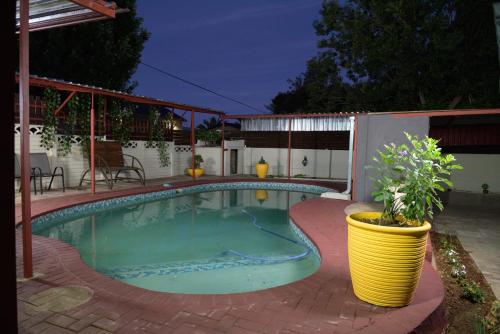 a swimming pool with a large yellow pot next to it at Alice@ Lloyd Guesthouse in Bloemfontein