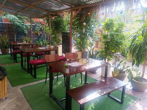 un restaurante con mesas de madera, bancos y plantas en Orchid 101 en Kampot