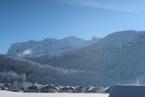 a group of houses in front of a mountain at Ferienwohnung Mian in Bezau