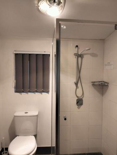 a bathroom with a toilet and a shower at cliffinn kangaroo point in Brisbane