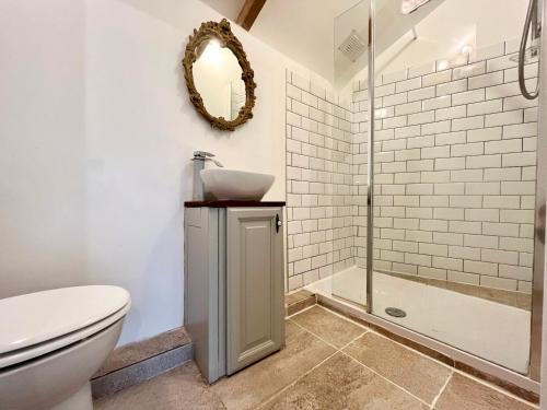 een badkamer met een toilet, een wastafel en een douche bij Cosy Cottage Central Marazion with Parking in Marazion