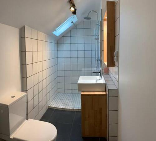 a bathroom with a toilet and a sink and a shower at Maison MAGNOLIA in Chasse-sur-Rhône