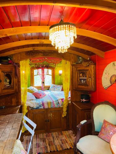 Centre médiation équine La Daouste