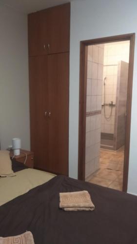 a bedroom with a bed and a bathroom with a shower at Tímea Vendégház in Demjén