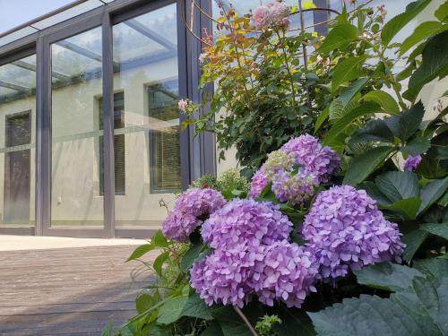 Vangen Hotelにある庭