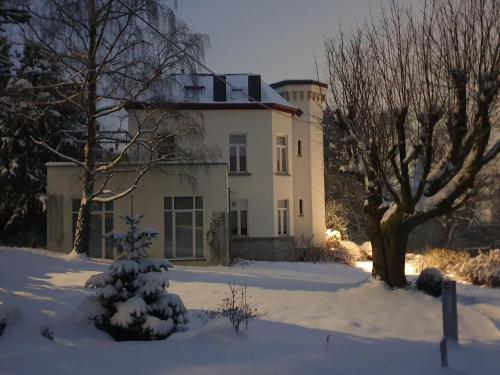 a house in the snow with trees in front of it at Le Chateau Blanc in Verviers