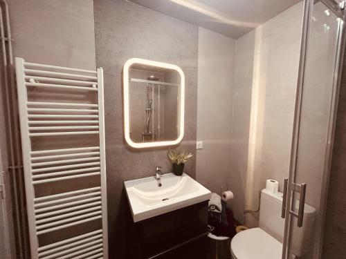 ein Badezimmer mit einem Waschbecken, einem Spiegel und einem WC in der Unterkunft LA MARIEFACTURE - Comme un Explorateur in Metz