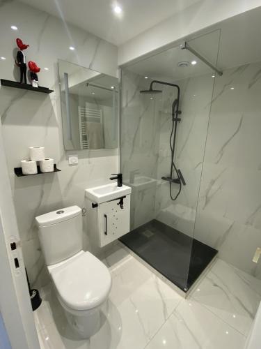 La salle de bains blanche est pourvue d'une douche et de toilettes. dans l'établissement LA MARIEFACTURE - Comme Chien et Chat, à Saint-Avold