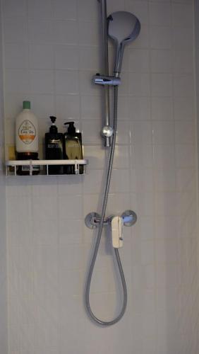 La salle de bains est pourvue d'une douche avec un pommeau de douche. dans l'établissement Très joli T2 cosy et calme, Butte aux Cailles, à Paris