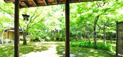 a view of a yard with trees and a gazebo at Ryokan Imai in Shibata