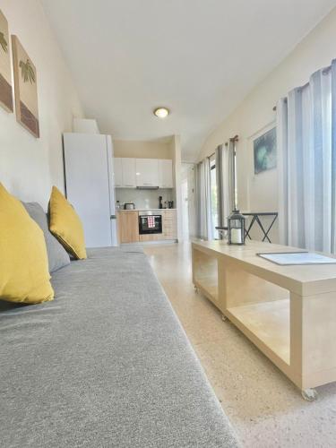 a living room with a bed and a desk at Merika Complex 1 in Pervolia