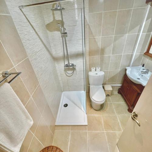 a bathroom with a shower and a toilet and a sink at Merika Complex 1 in Pervolia