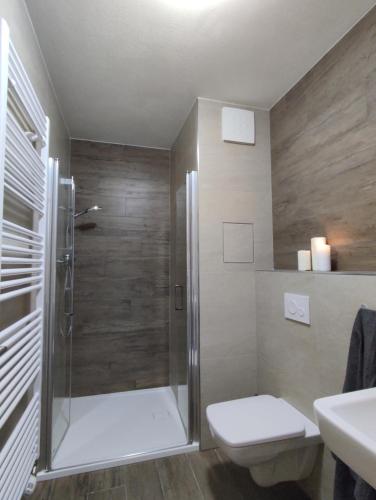 uma casa de banho com um chuveiro, um WC e um lavatório. em Hojsova Stráž Brčálník Apartmán Hannzi em Železná Ruda