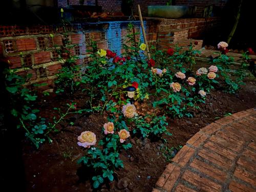 a flower garden with roses in the dirt at Homestay Caskameo Đà Lạt in Tarklette