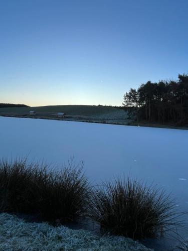 a view of the water with grass in the foreground at East Learmouth Lakeside Lodges - Larch Lodge in Cornhill-on-tweed